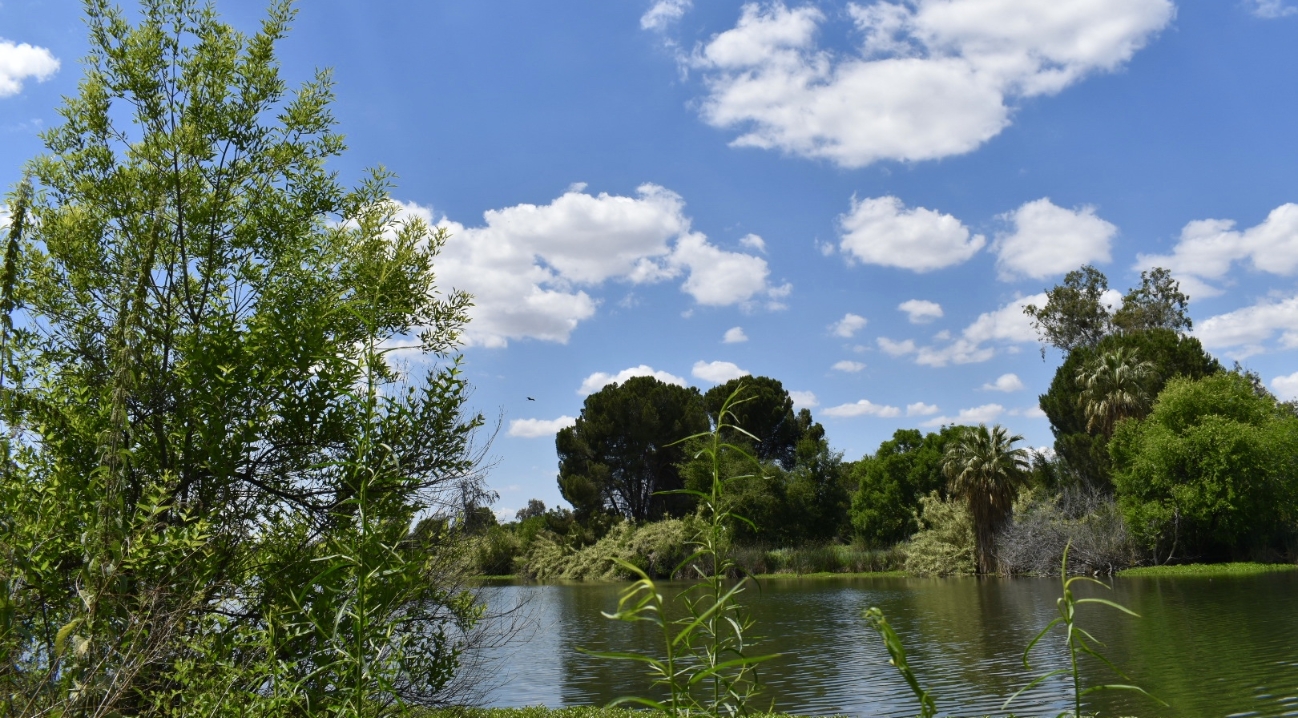 Scenic waterway